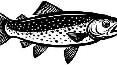 Lenke til artikkel: Søk om tilskudd fra Femund-/Trysilvassdragets fiskefond