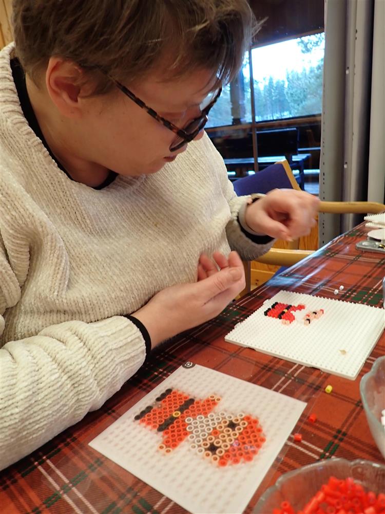 Klikk for stort bilde