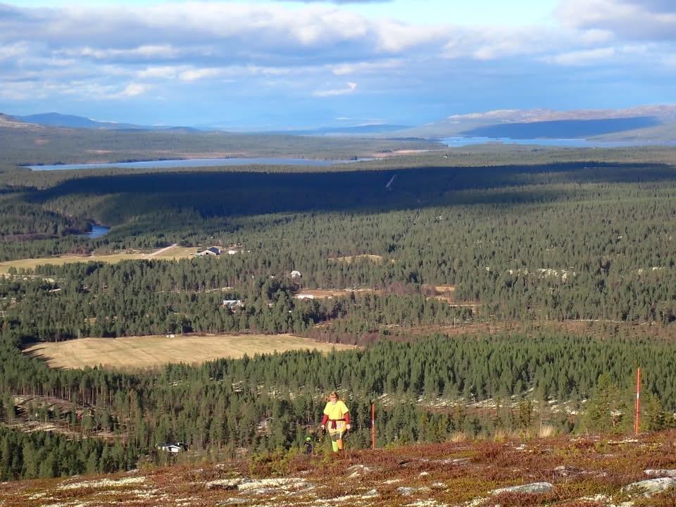 Klikk for stort bilde