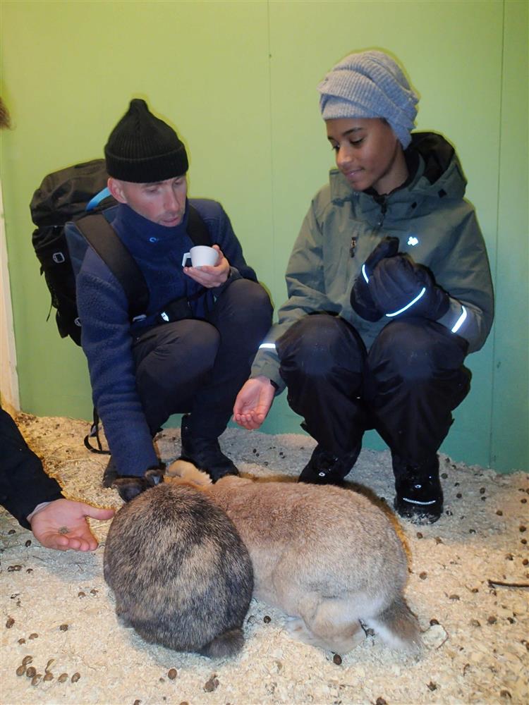 Klikk for stort bilde