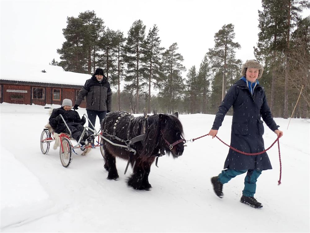 Klikk for stort bilde