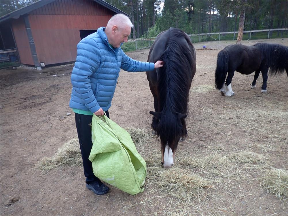 Klikk for stort bilde