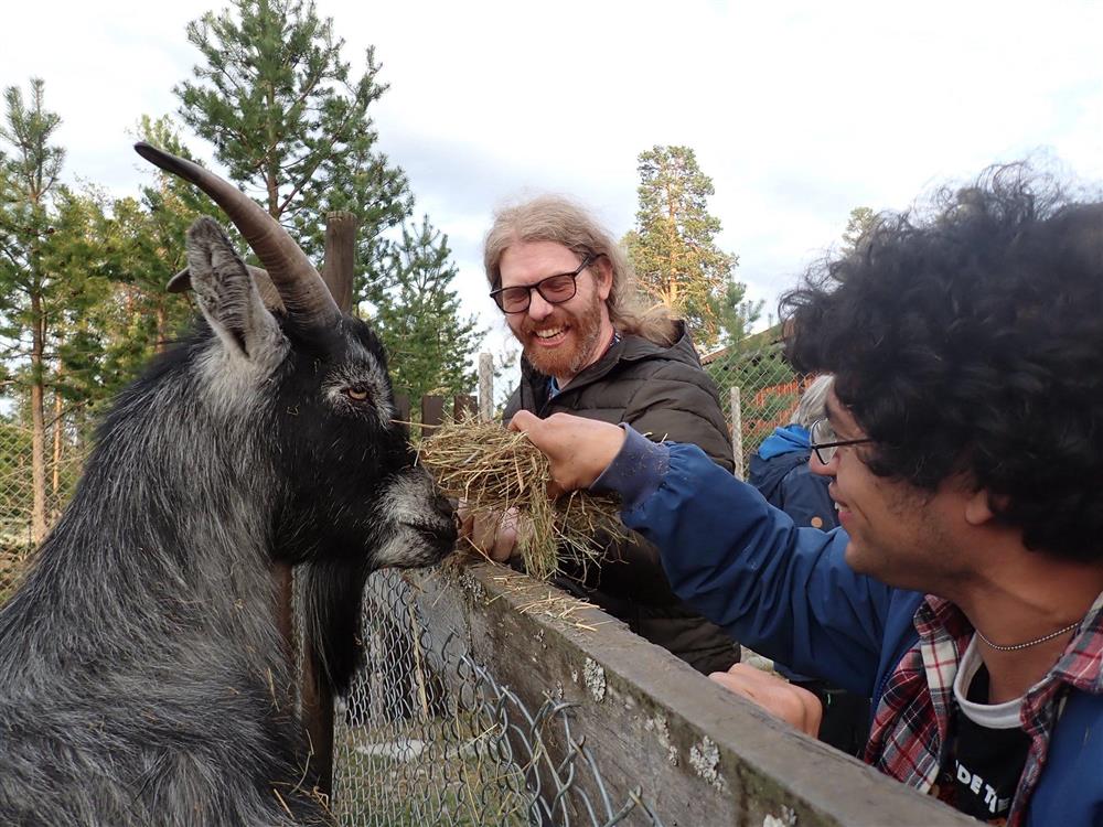 Klikk for stort bilde