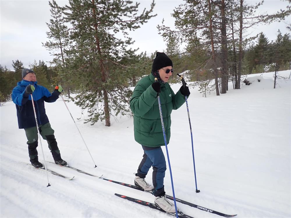 Klikk for stort bilde