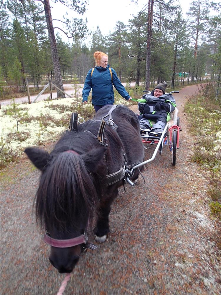 Klikk for stort bilde