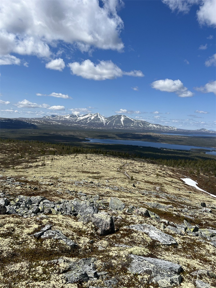 Galtåsknappen - Klikk for stort bilde