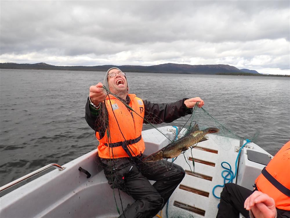 Klikk for stort bilde