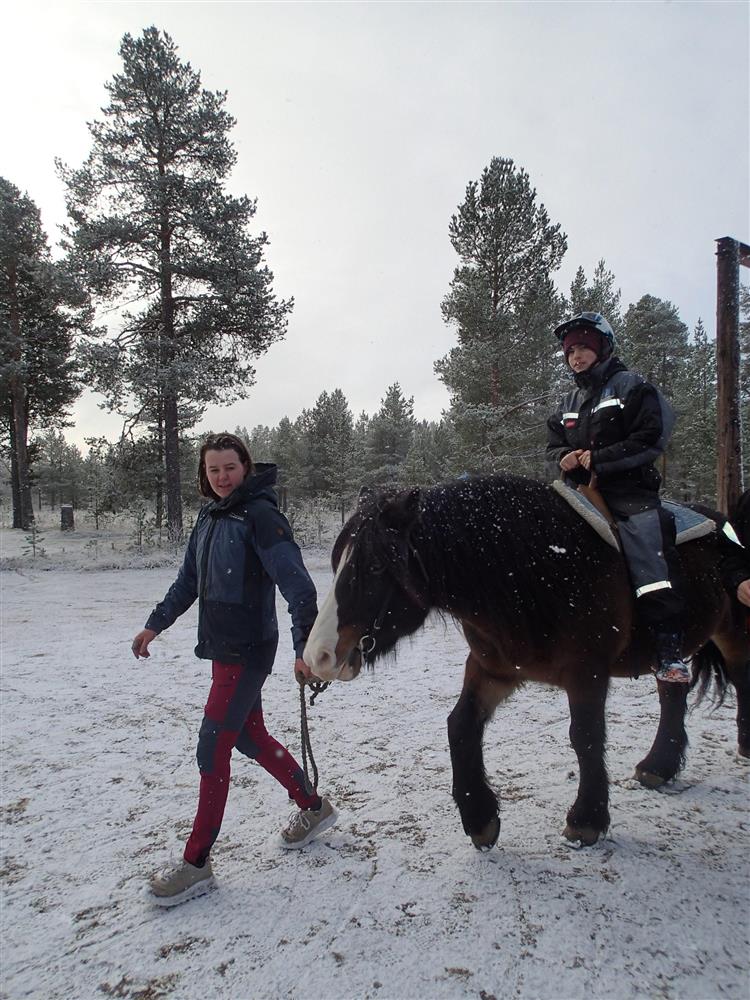 Klikk for stort bilde