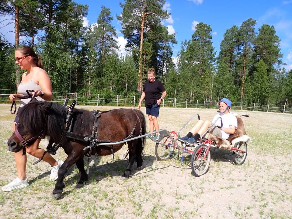 Klikk for stort bilde