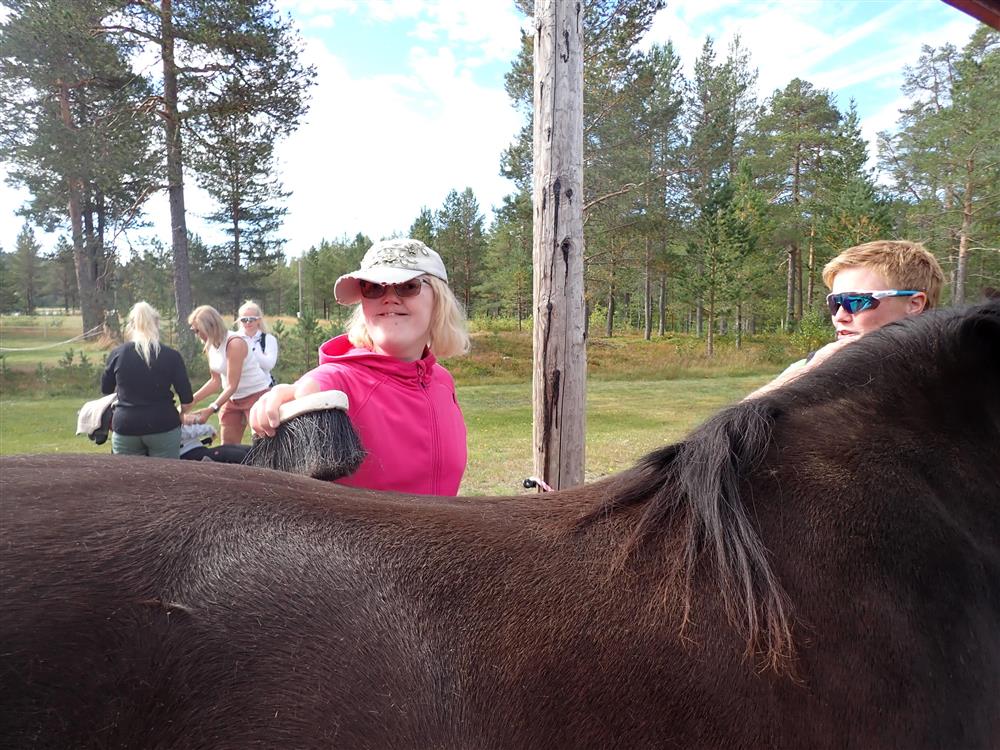 Klikk for stort bilde