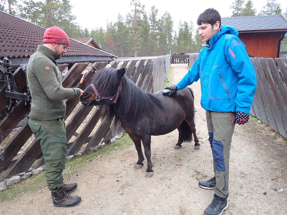 Klikk for stort bilde