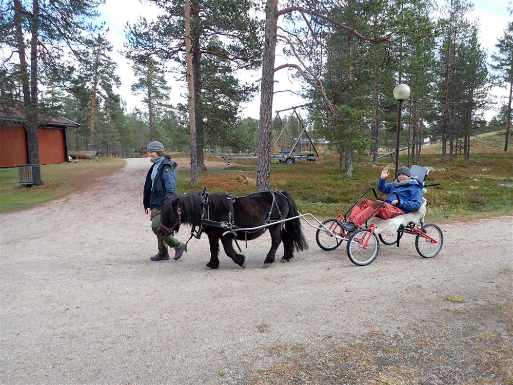 Klikk for stort bilde