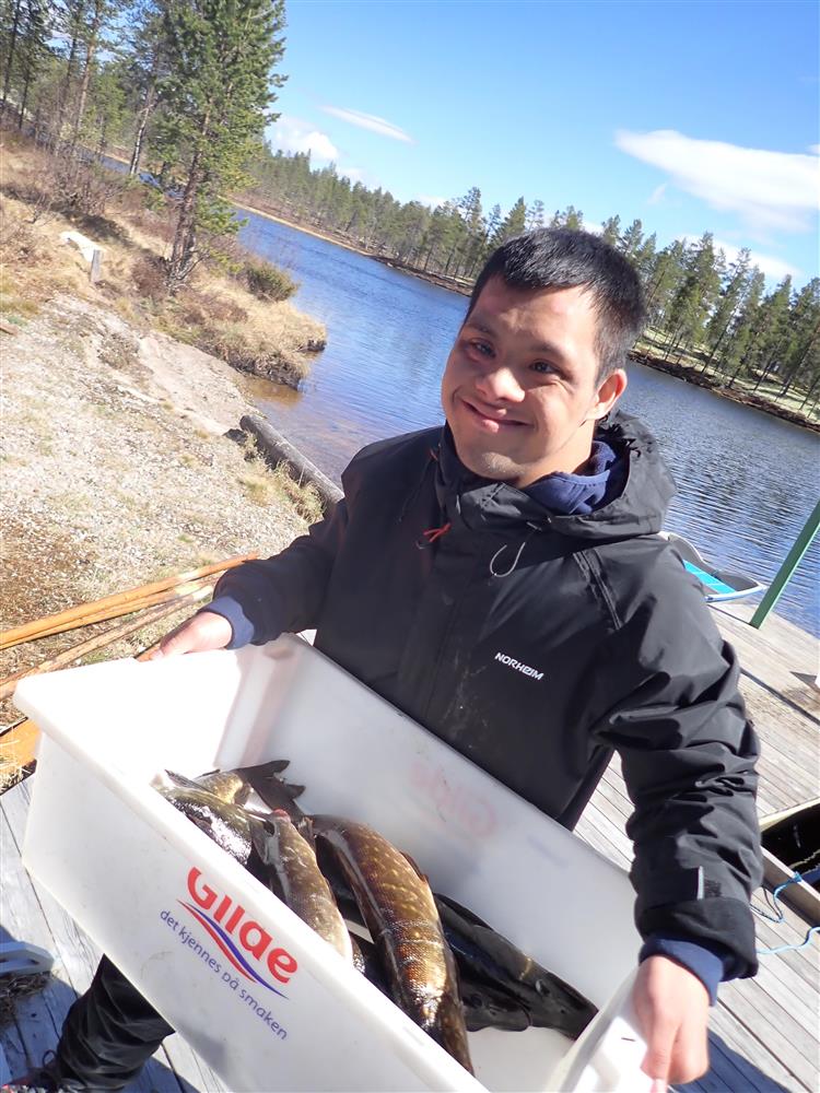 Klikk for stort bilde