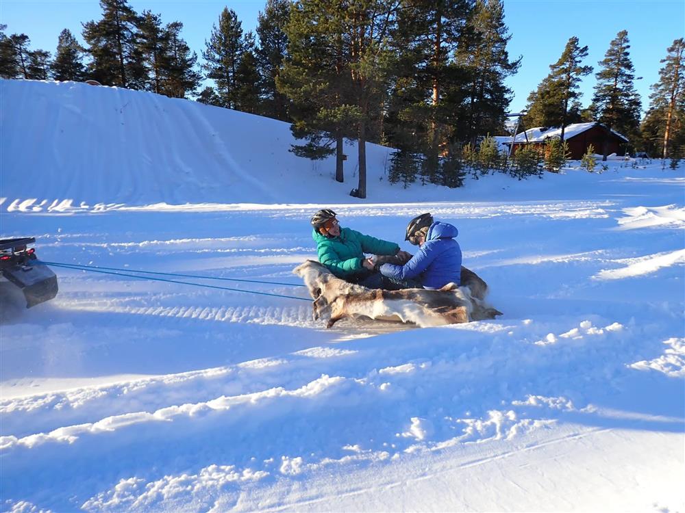 Klikk for stort bilde