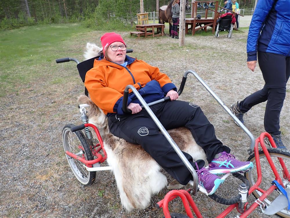 Klikk for stort bilde