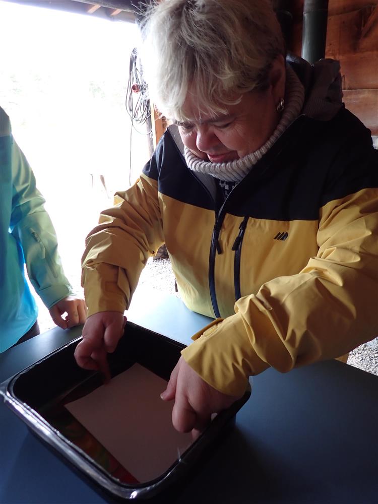 Klikk for stort bilde