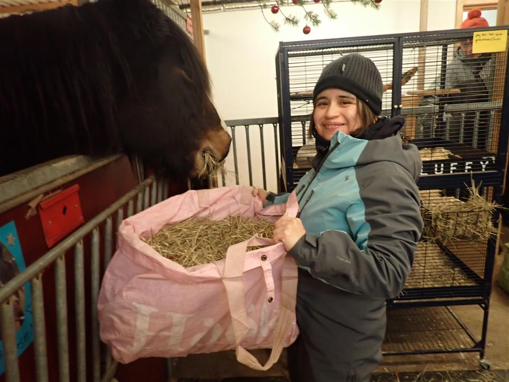 Klikk for stort bilde