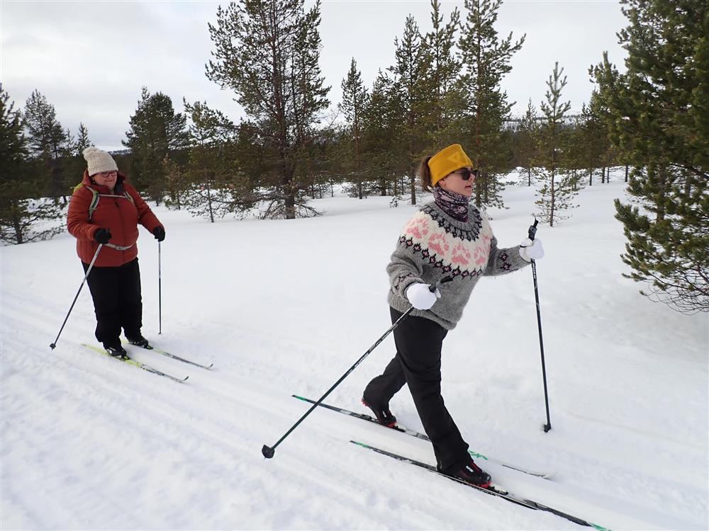 Klikk for stort bilde