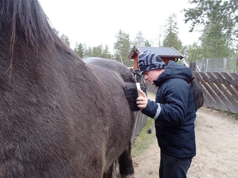 Klikk for stort bilde