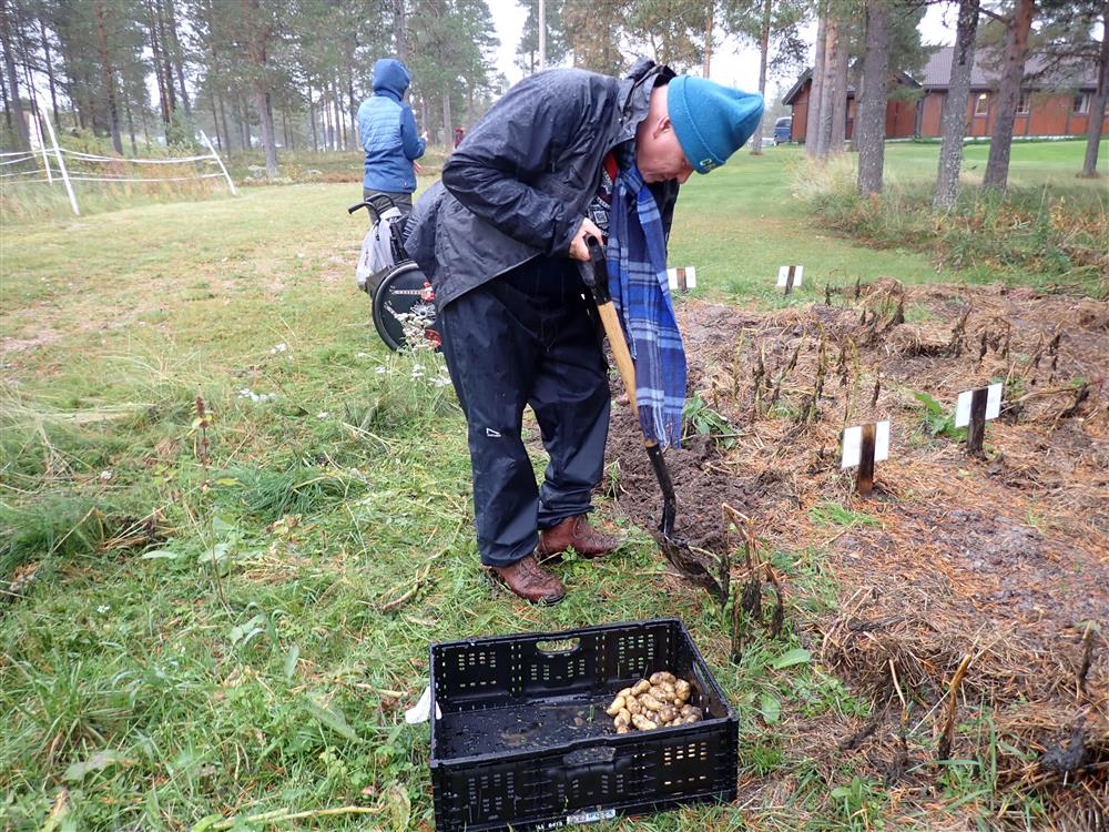 Klikk for stort bilde