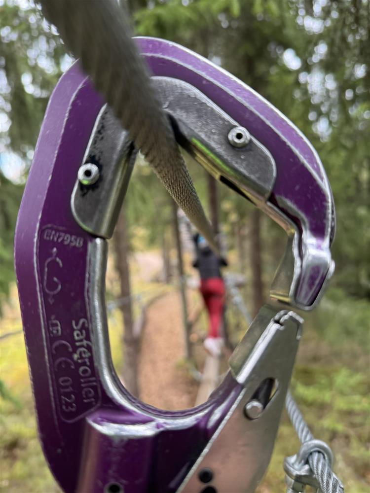 Klikk for stort bilde