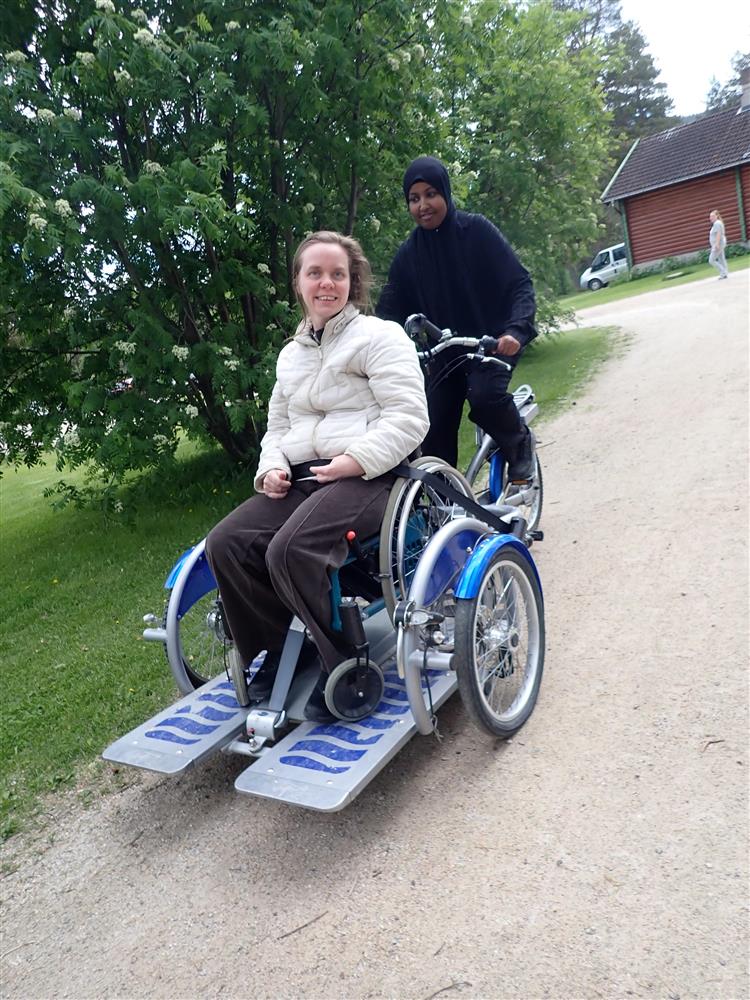 Klikk for stort bilde