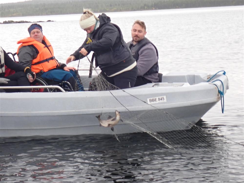 Klikk for stort bilde