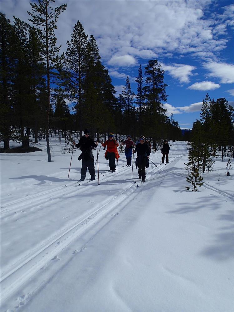 Klikk for stort bilde