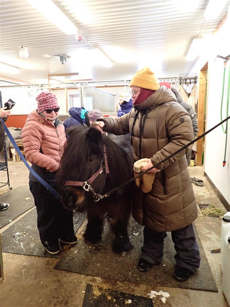 Klikk for stort bilde