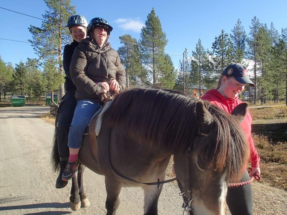 Klikk for stort bilde