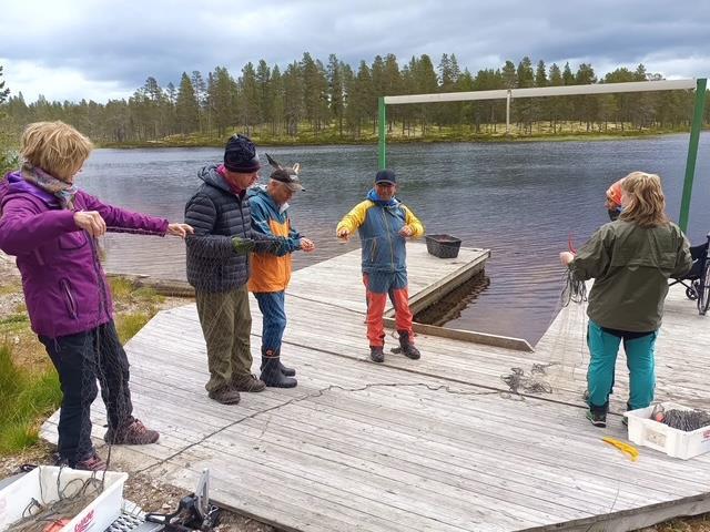 Klikk for stort bilde
