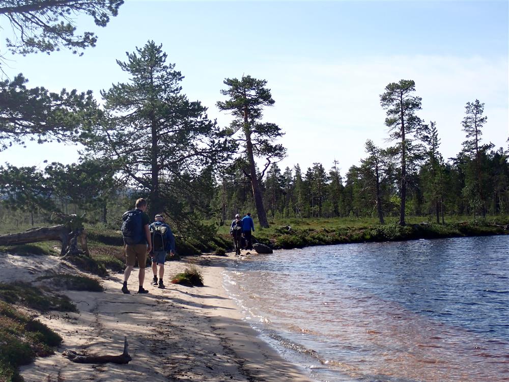 Klikk for stort bilde