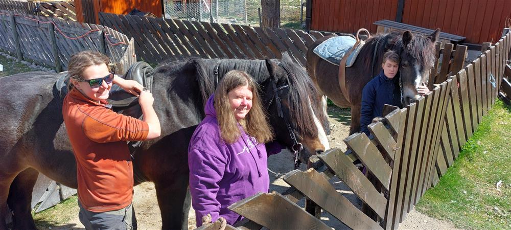 Klikk for stort bilde