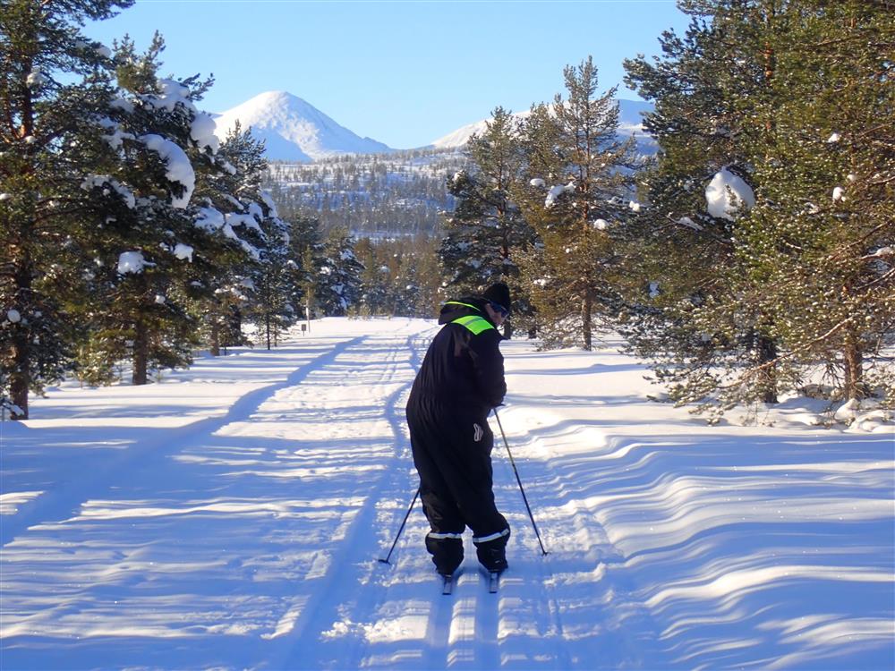 Klikk for stort bilde