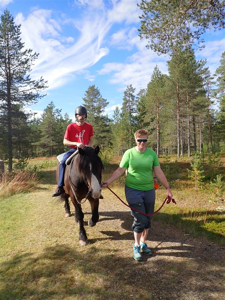 Klikk for stort bilde