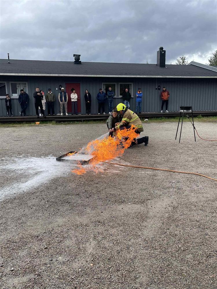 Klikk for stort bilde