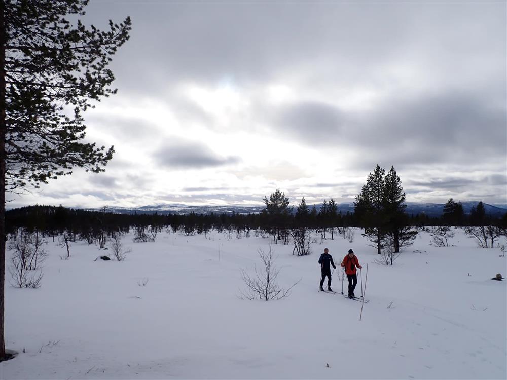 Klikk for stort bilde