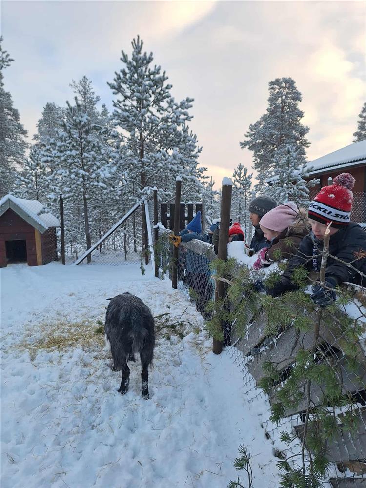 Klikk for stort bilde