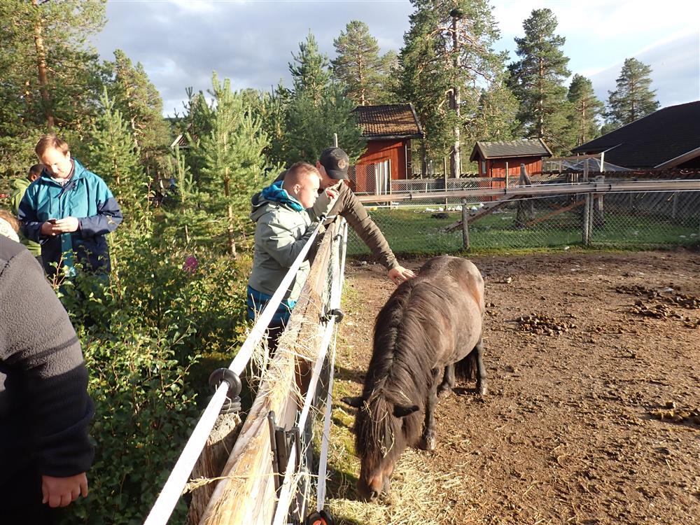 Klikk for stort bilde