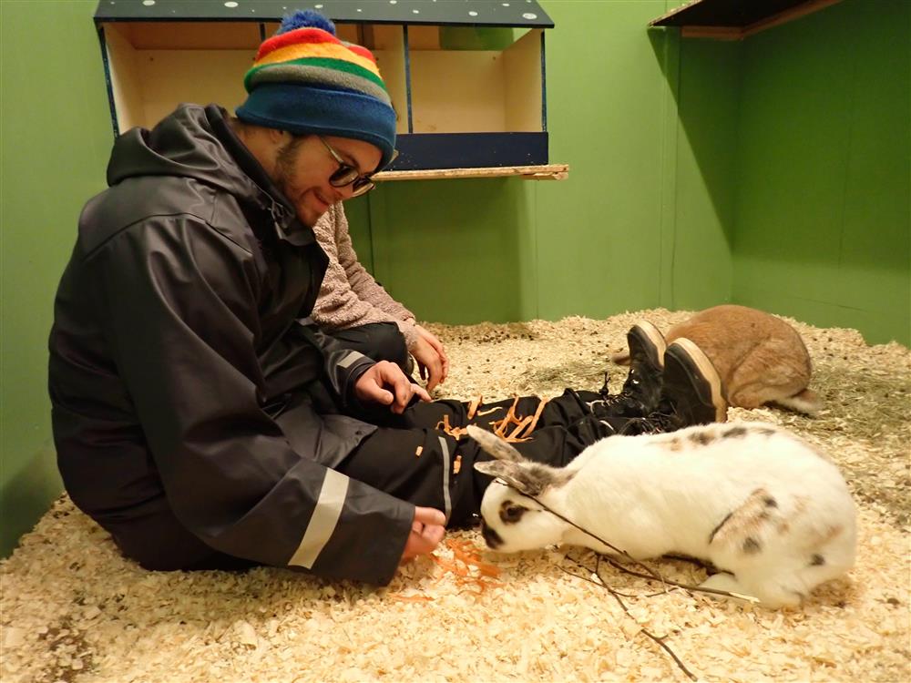 Klikk for stort bilde