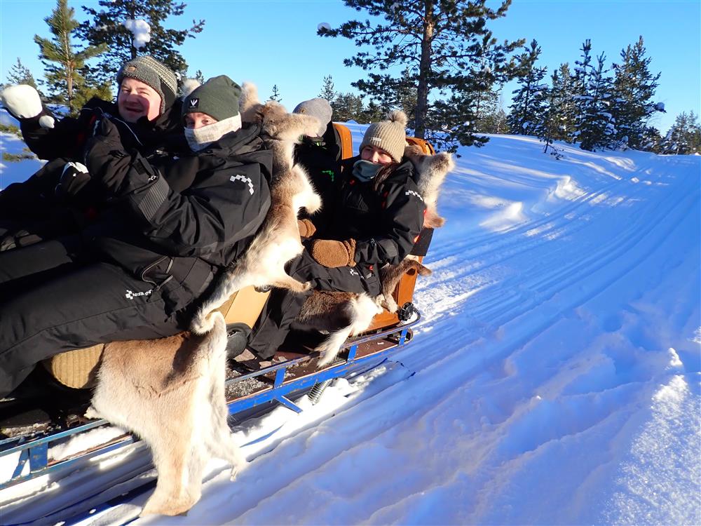 Klikk for stort bilde