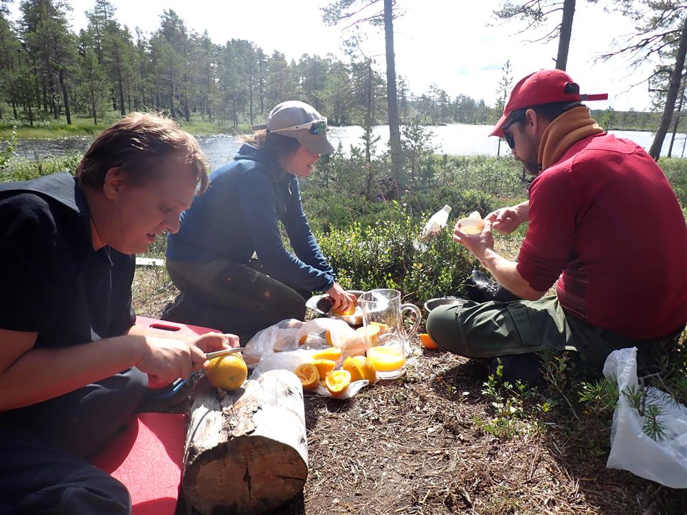 Klikk for stort bilde