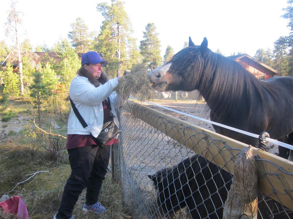 Klikk for stort bilde