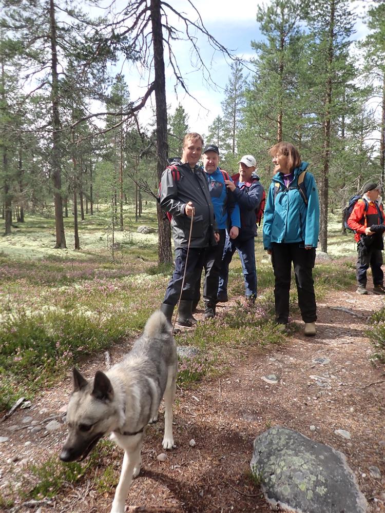 Klikk for stort bilde