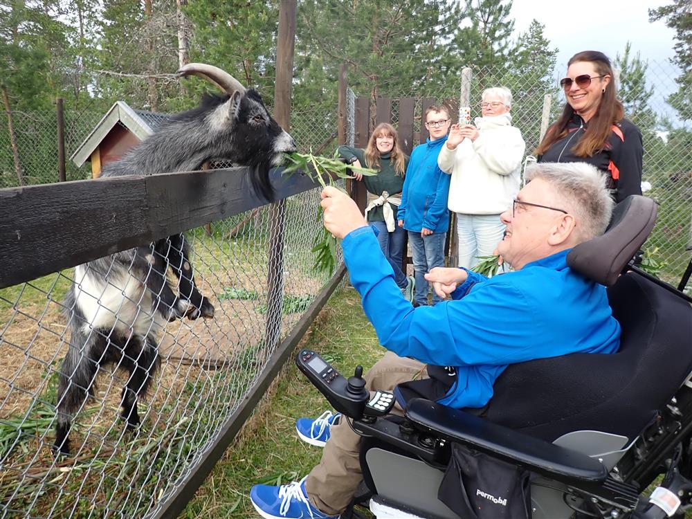 Klikk for stort bilde