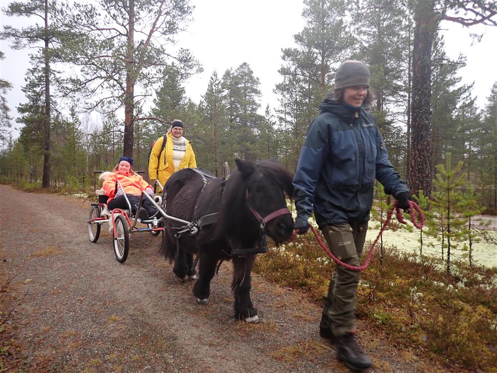 Klikk for stort bilde