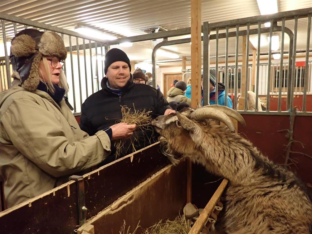 Klikk for stort bilde