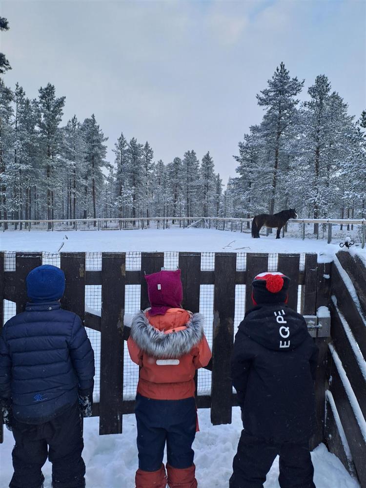 Klikk for stort bilde