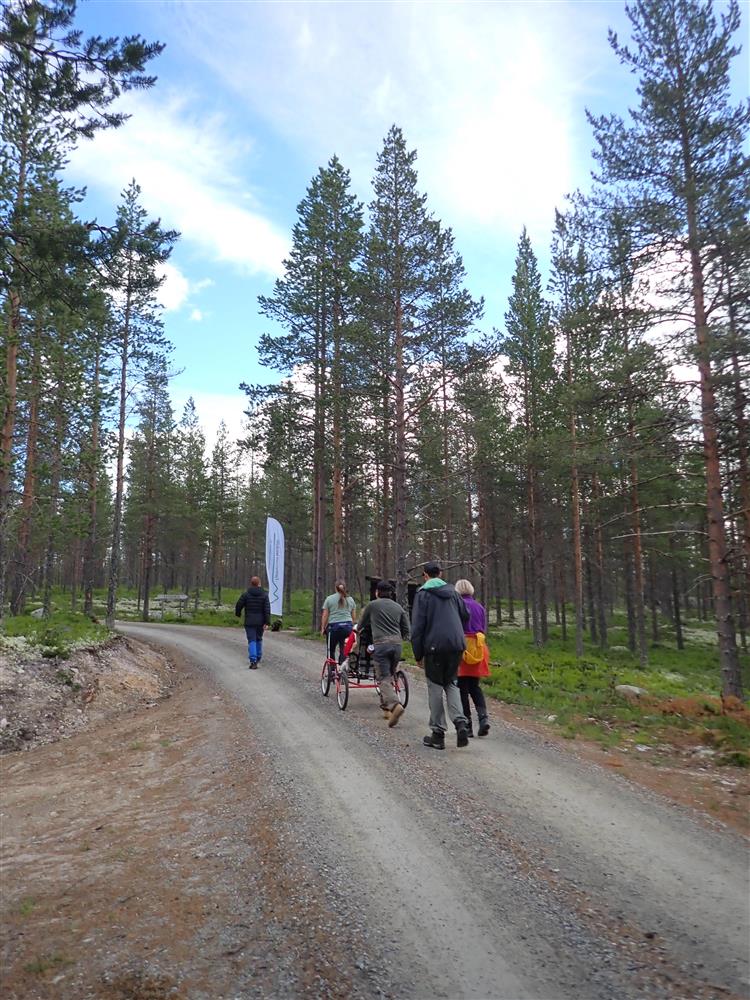 Klikk for stort bilde