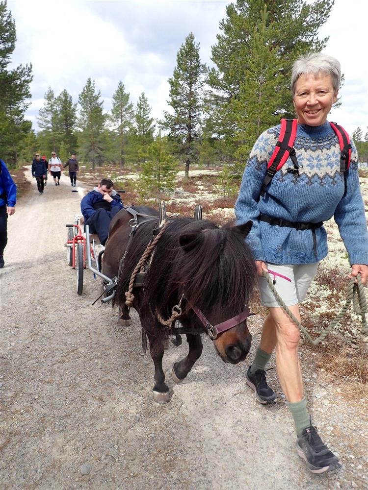 Klikk for stort bilde